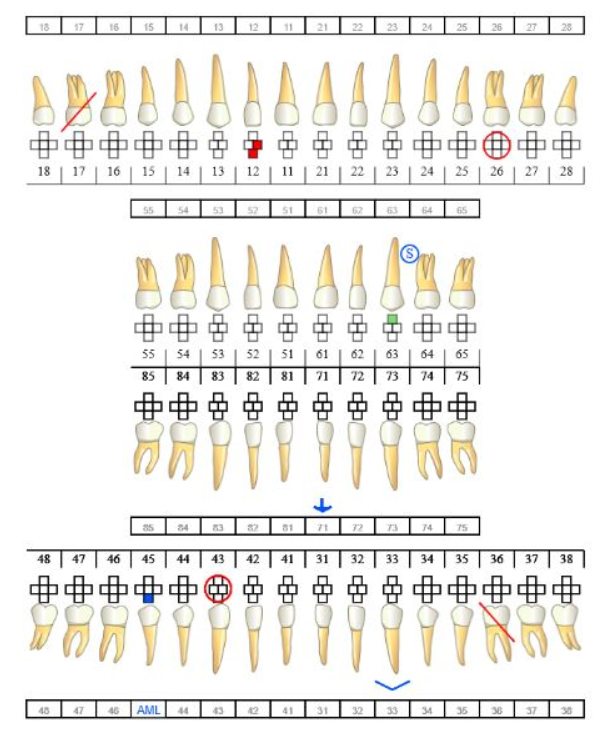 Virtual Odontogram